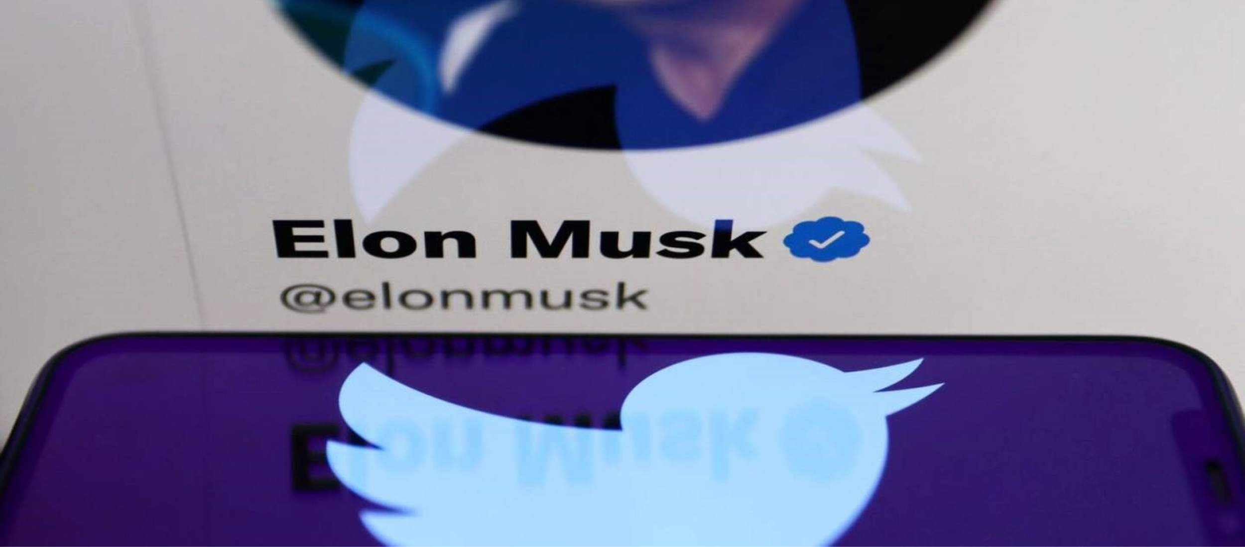 If You Think Twitter v Musk is High Risk — Check This Out