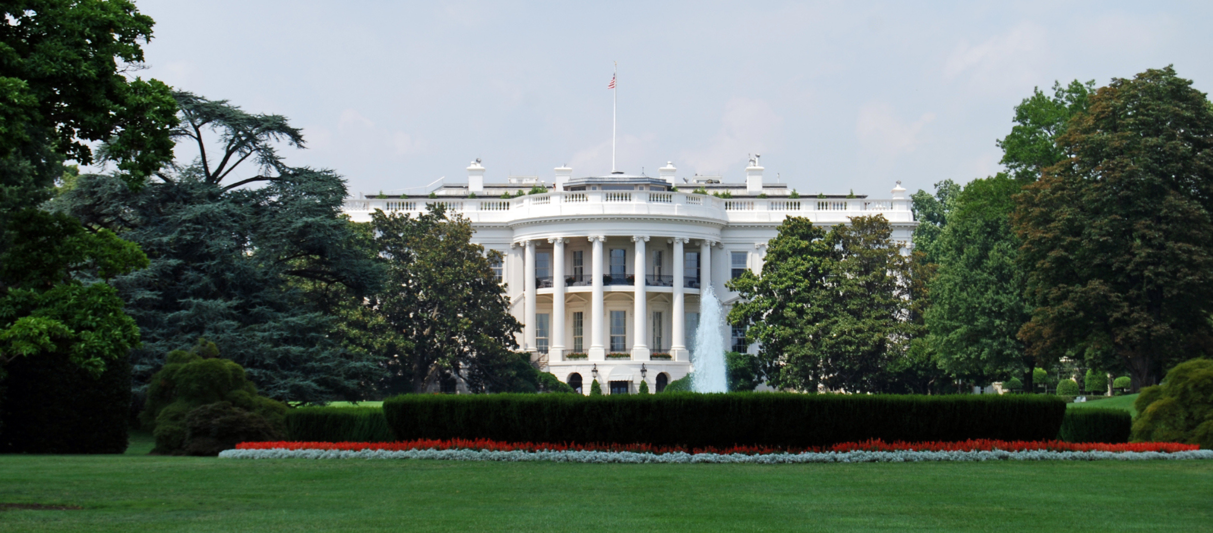 Clients Weigh in on Law Firm Responses to Trump Executive Orders