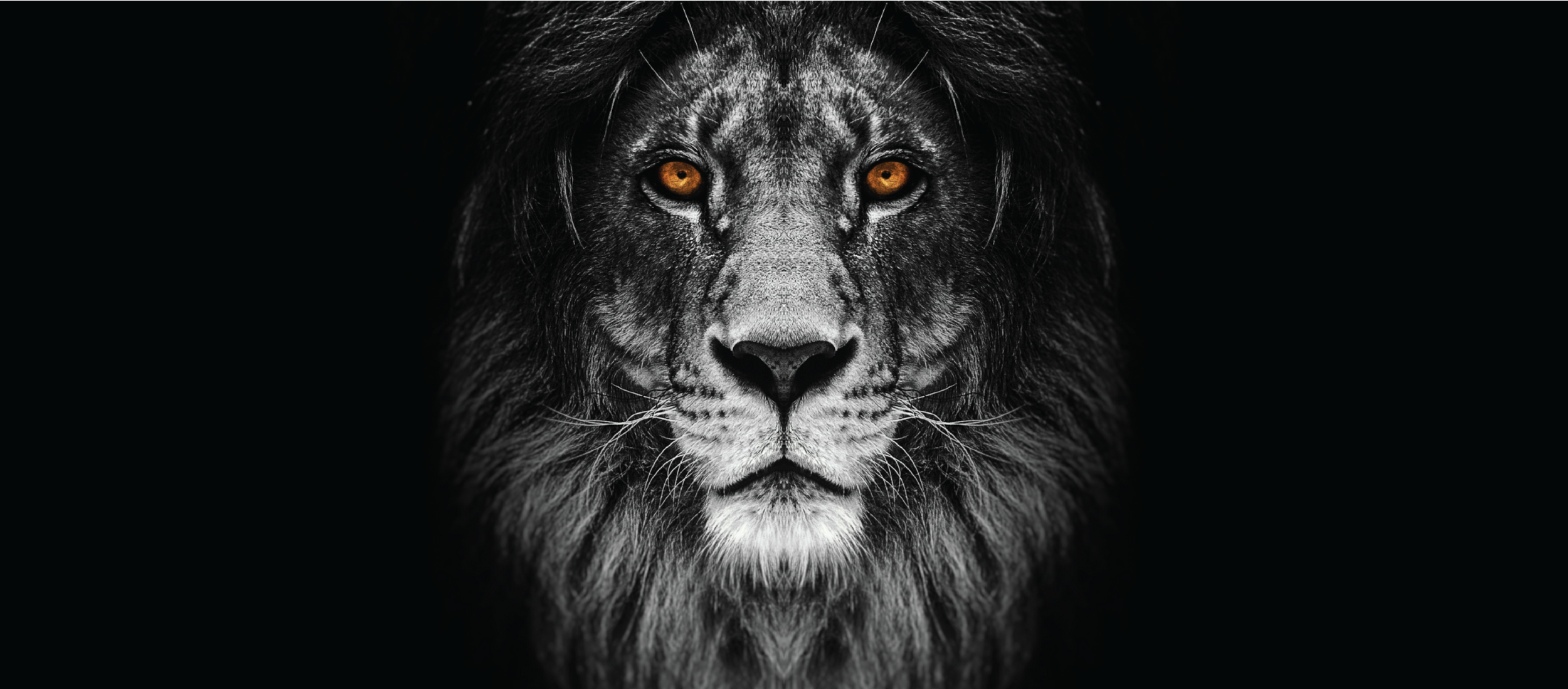 Clients Single Out the 98 Most Feared Law Firms