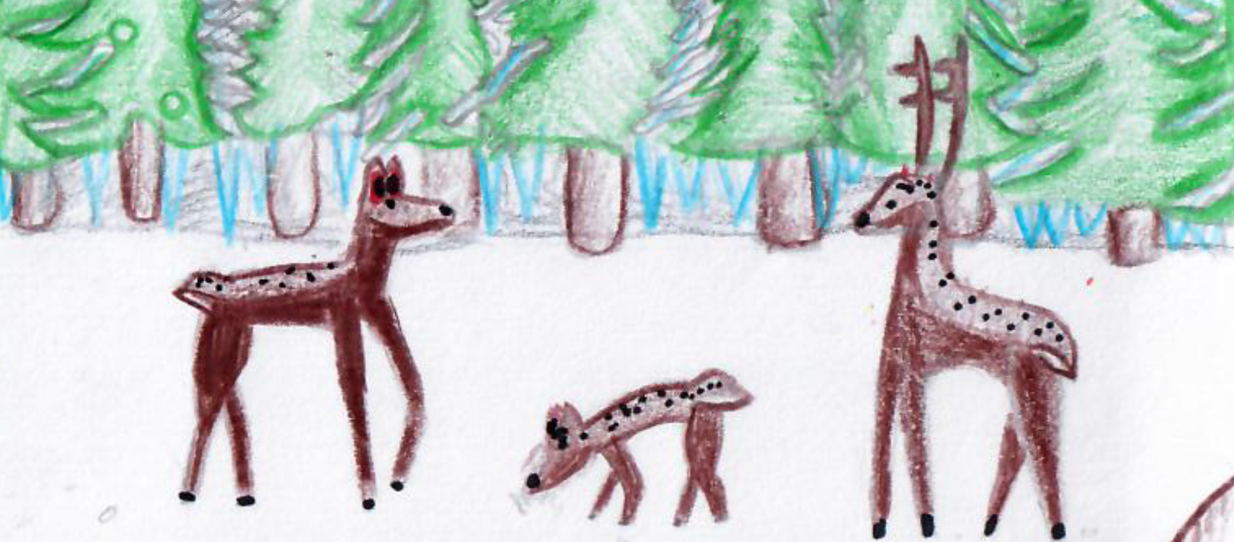 Meet the Winner of the Holiday Card Contest