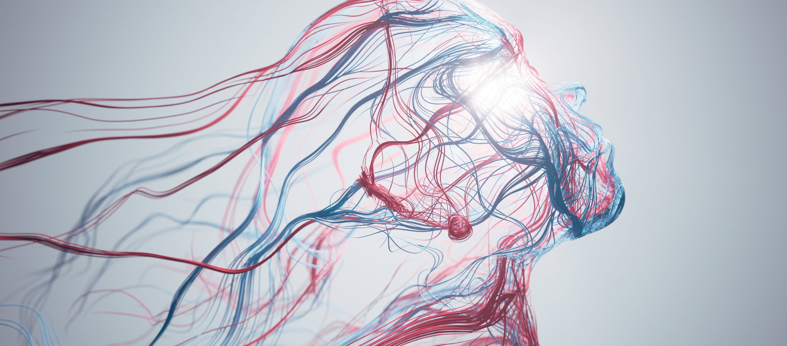 The Law Firm CMO: Struggling to Succeed Despite Their Firms