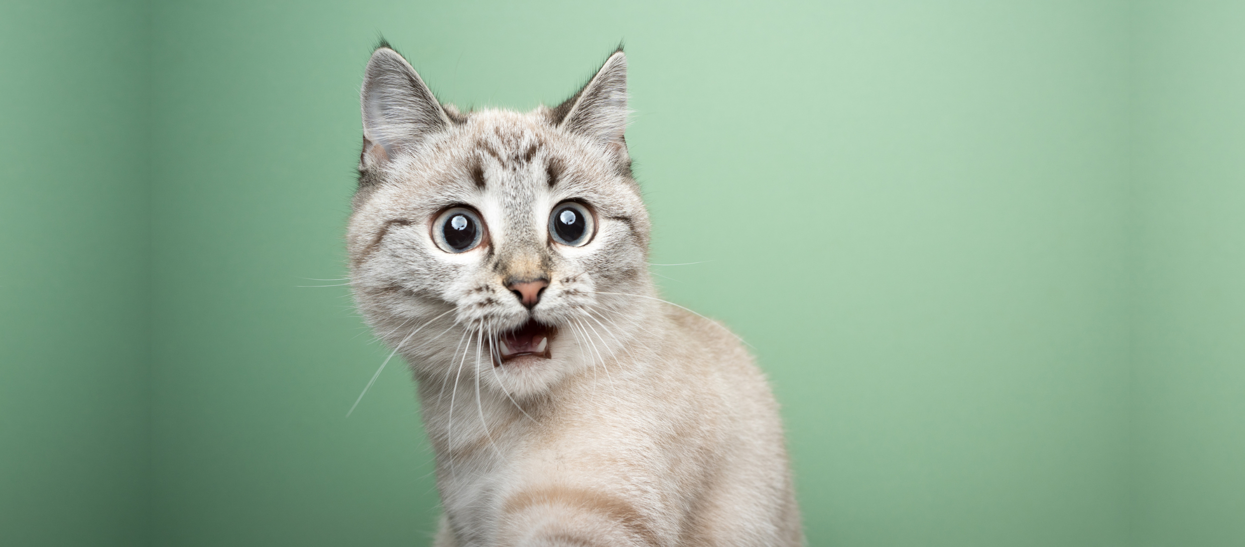 Was Hybrid Actually the Best Thing to Happen to Mentoring?