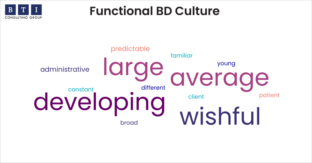Functional BD Culture Word Cloud
