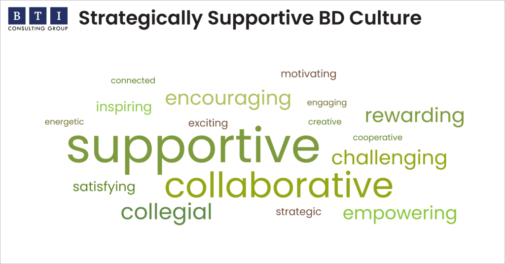 Strategically Supportive BD Culture Word Cloud
